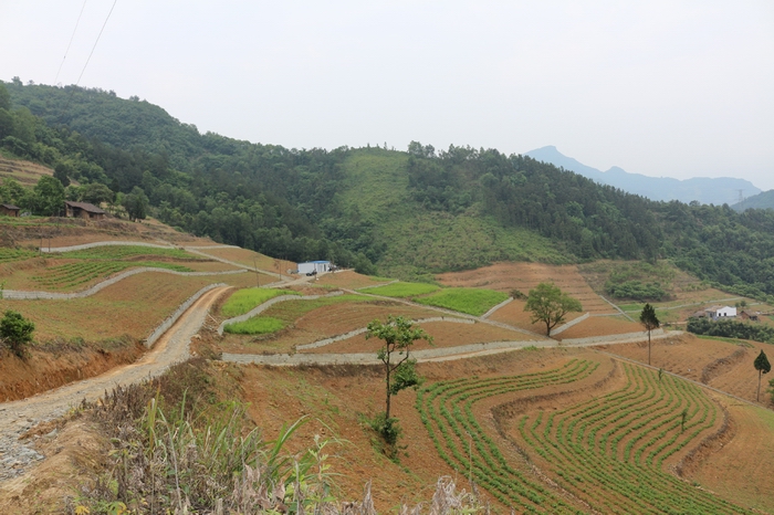 9b-平利3.jpg