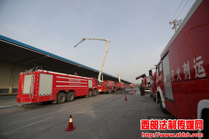 3251-4B-555.jpg