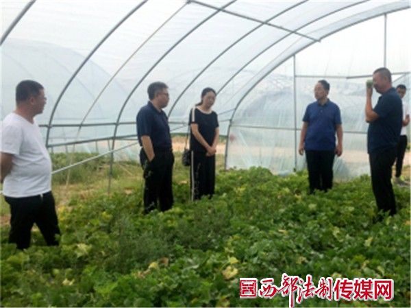 7月12日榆林市农业农村局成功举办农产品全程质量控制技术体系培训468.jpg