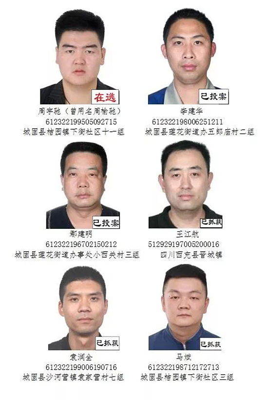 城固公安公开征集陈凯付力军等人违法犯罪线索