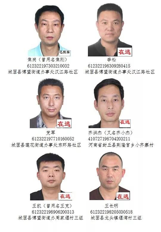 城固公安公开征集陈凯付力军等人违法犯罪线索