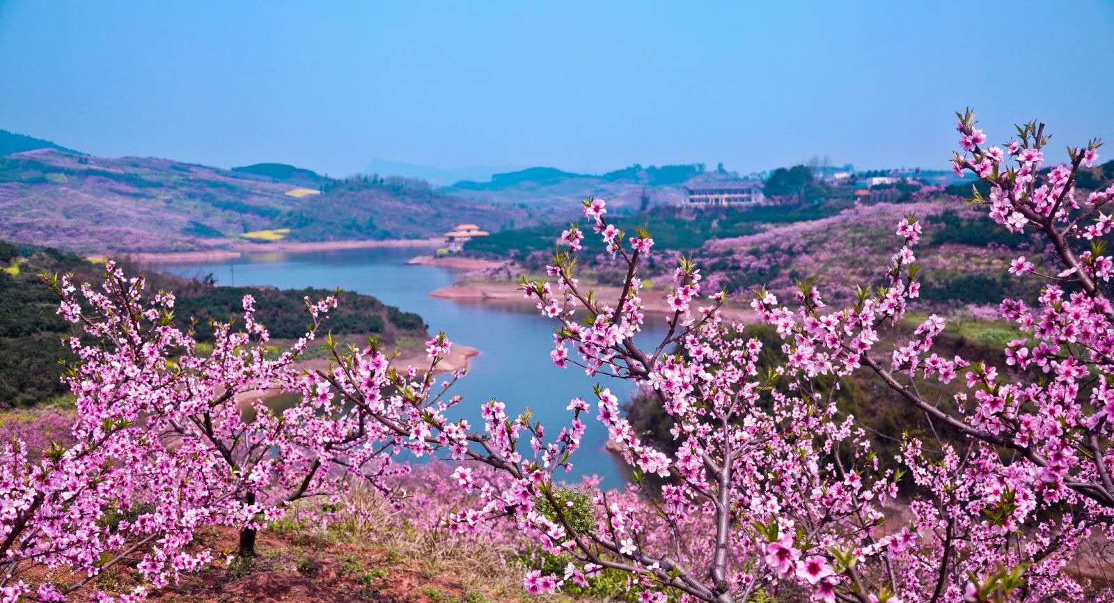 四川丹棱蝶变梦和诗就在当下