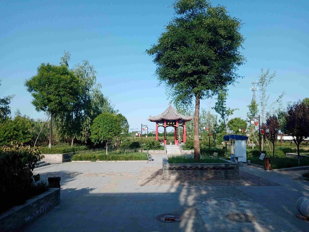 蒲城县上王村图片