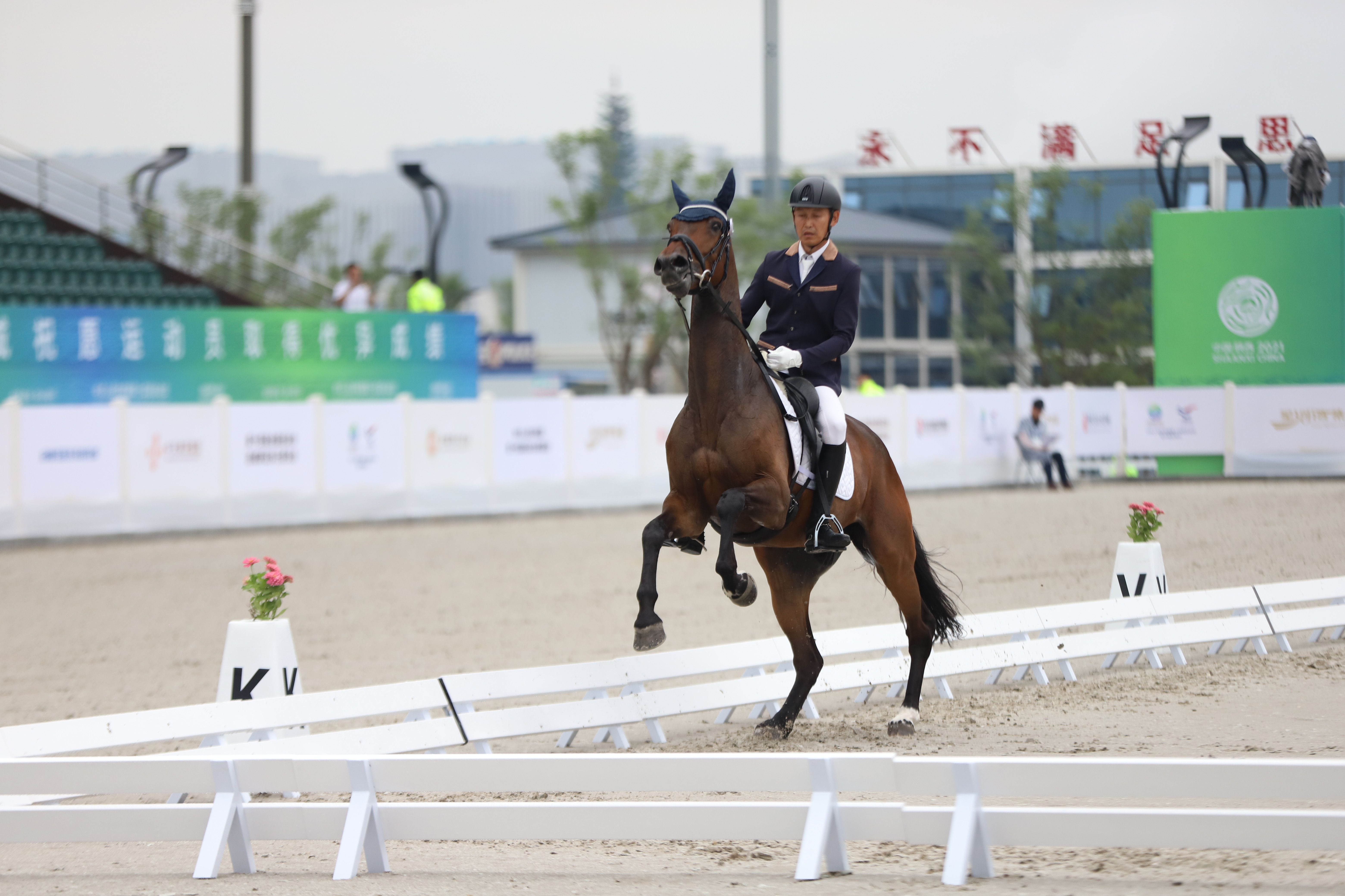 看人着盛装马走舞步十四运会马术项目测试赛在秦汉新城开赛