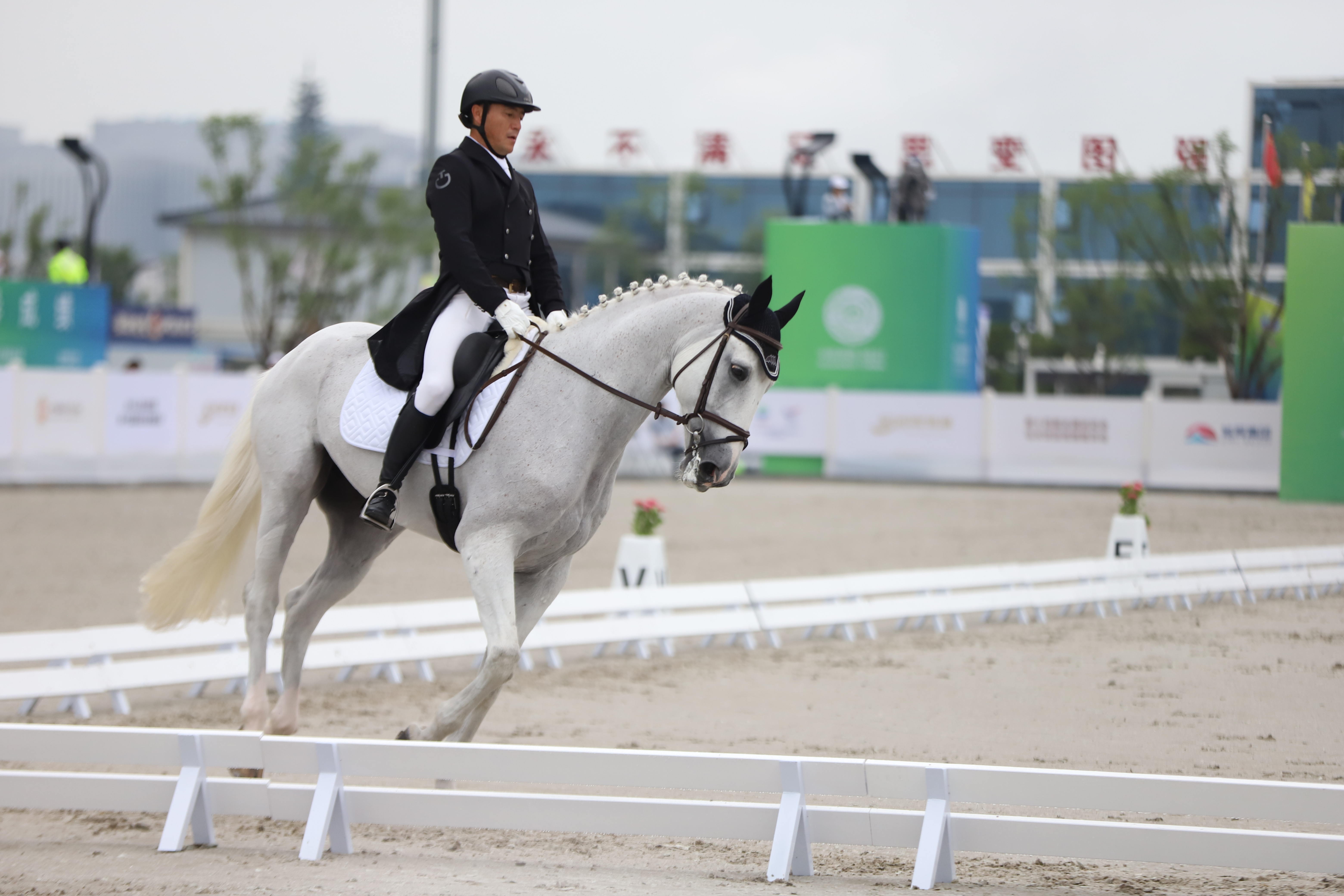 看人着盛装马走舞步十四运会马术项目测试赛在秦汉新城开赛