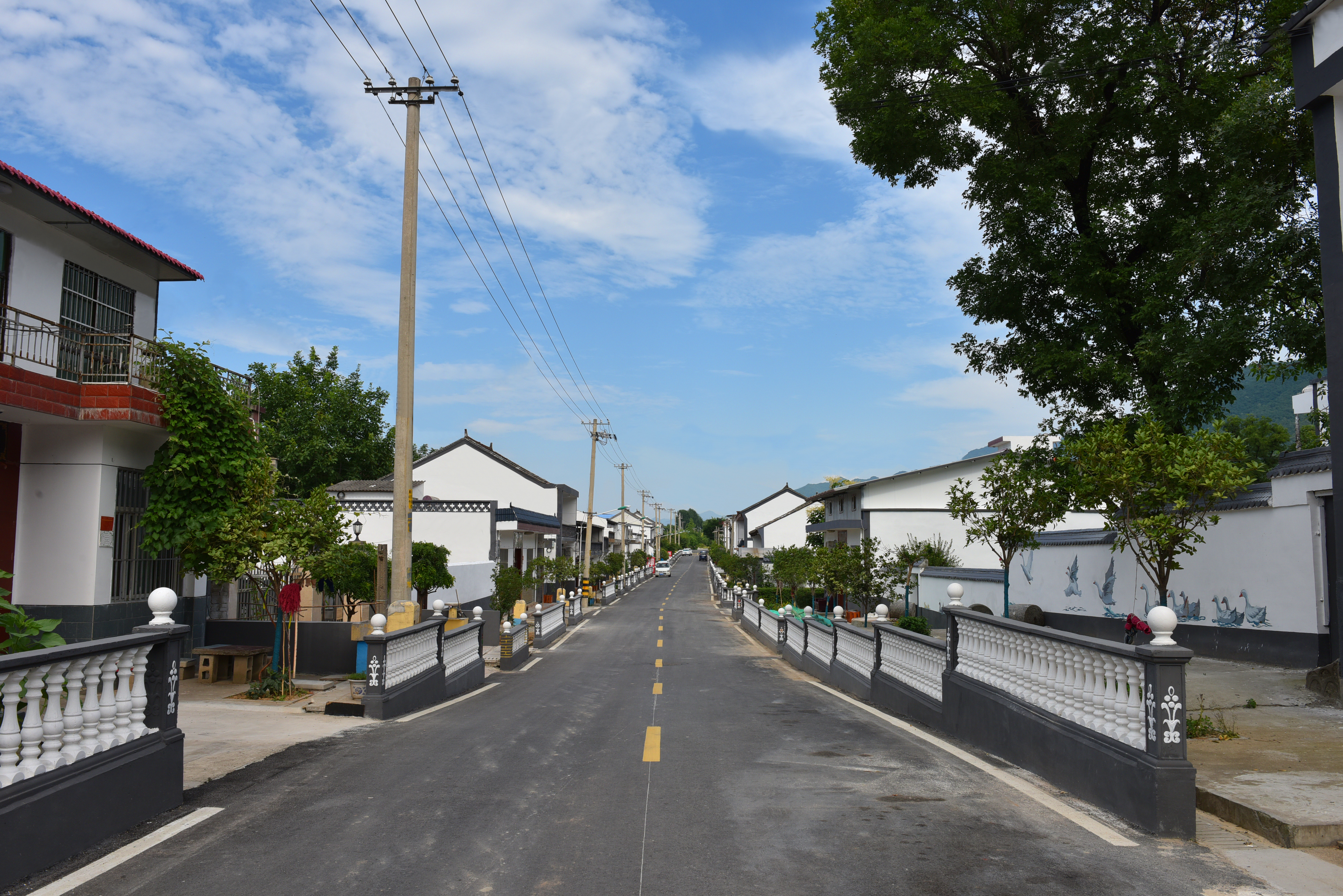 以示范引领全区农村人居环境整治成效