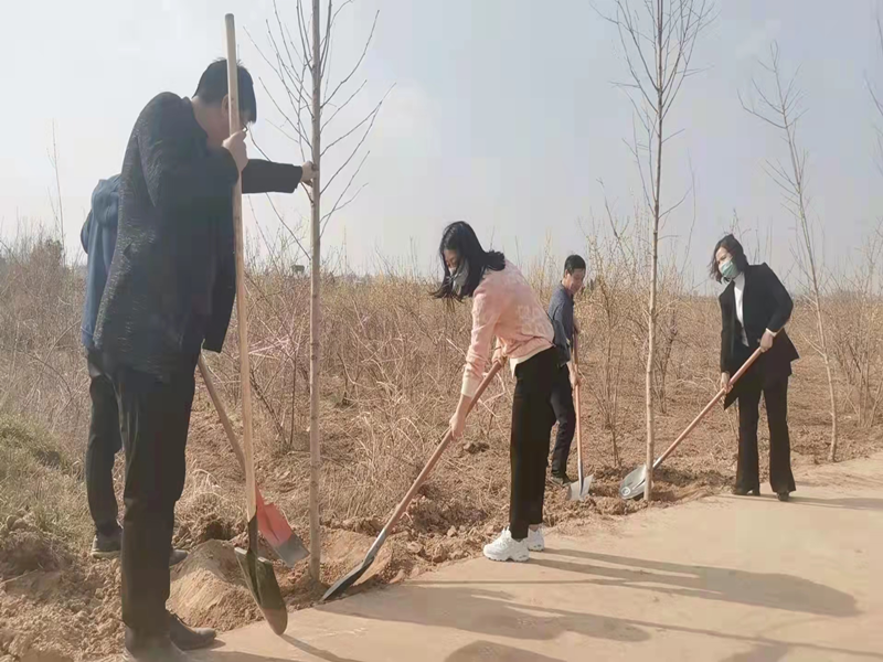图片1_副本.png