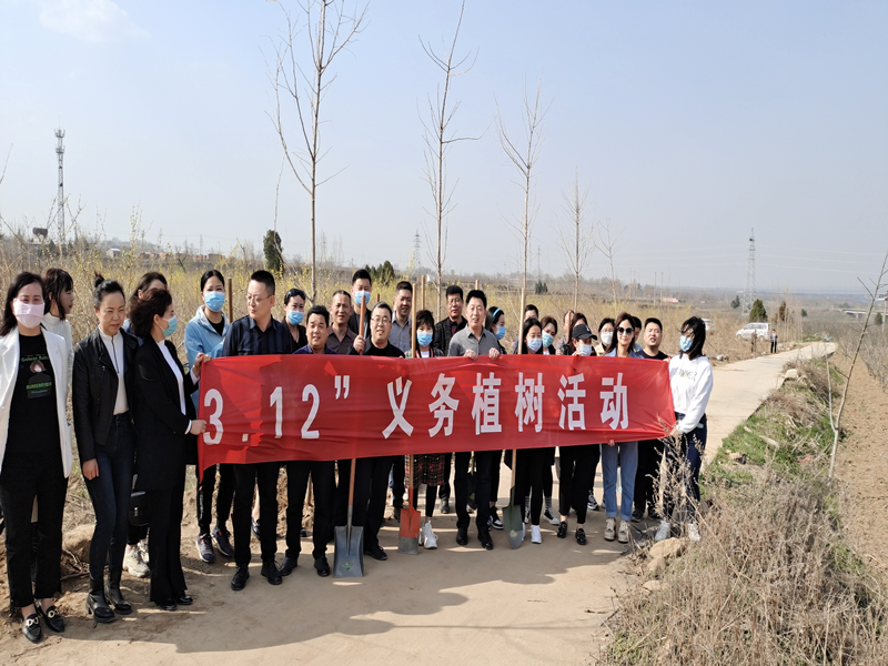 图片2_副本.png