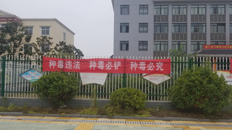 图片1.png 图片1.png