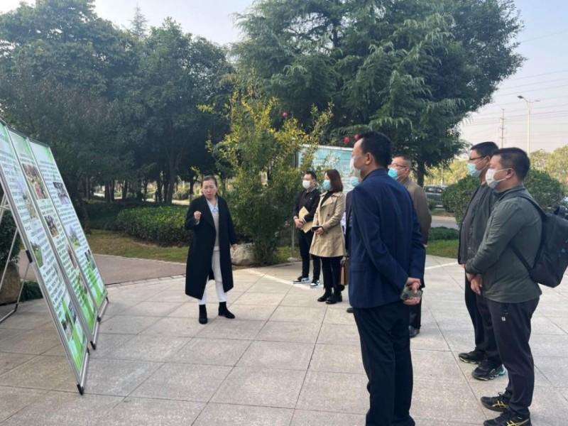 图片22_副本.jpg