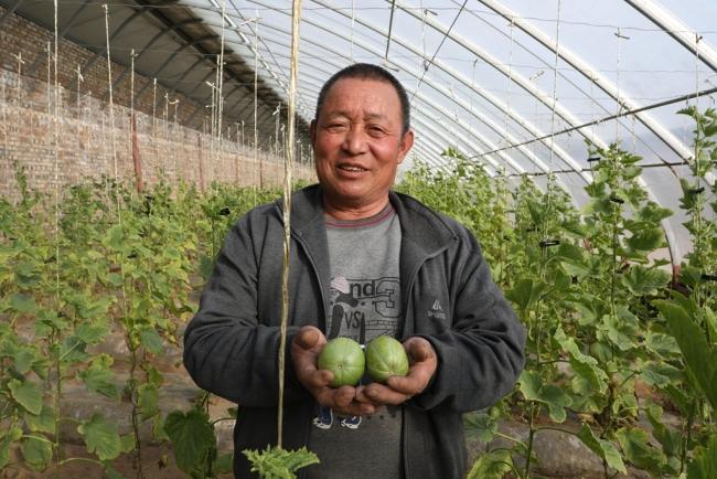 陕西榆阳：瓜果飘香产业旺 乡村振兴气象新