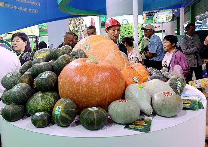 群众参观榆林土产品_副本.jpg