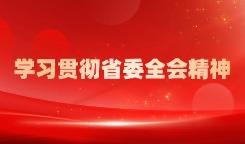 学习贯彻省委全会精神