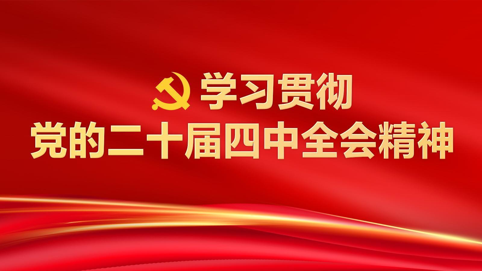 学习贯彻党的二十届四中全会精神